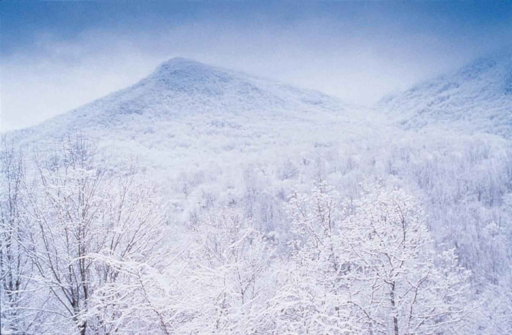 Club Wyndham Smoky Mountains Hotel Sevierville Buitenkant foto